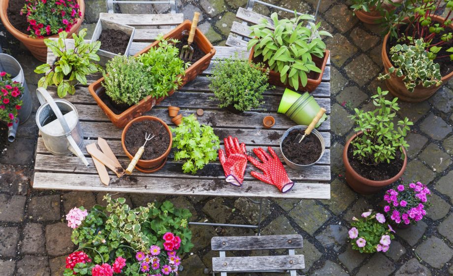 gardening-different-medicinal-and-kitchen-herbs-and-royalty-free-image-1598902095 gardening-different-medicinal-and-kitchen-herbs-and-royalty-free-image-1598902095